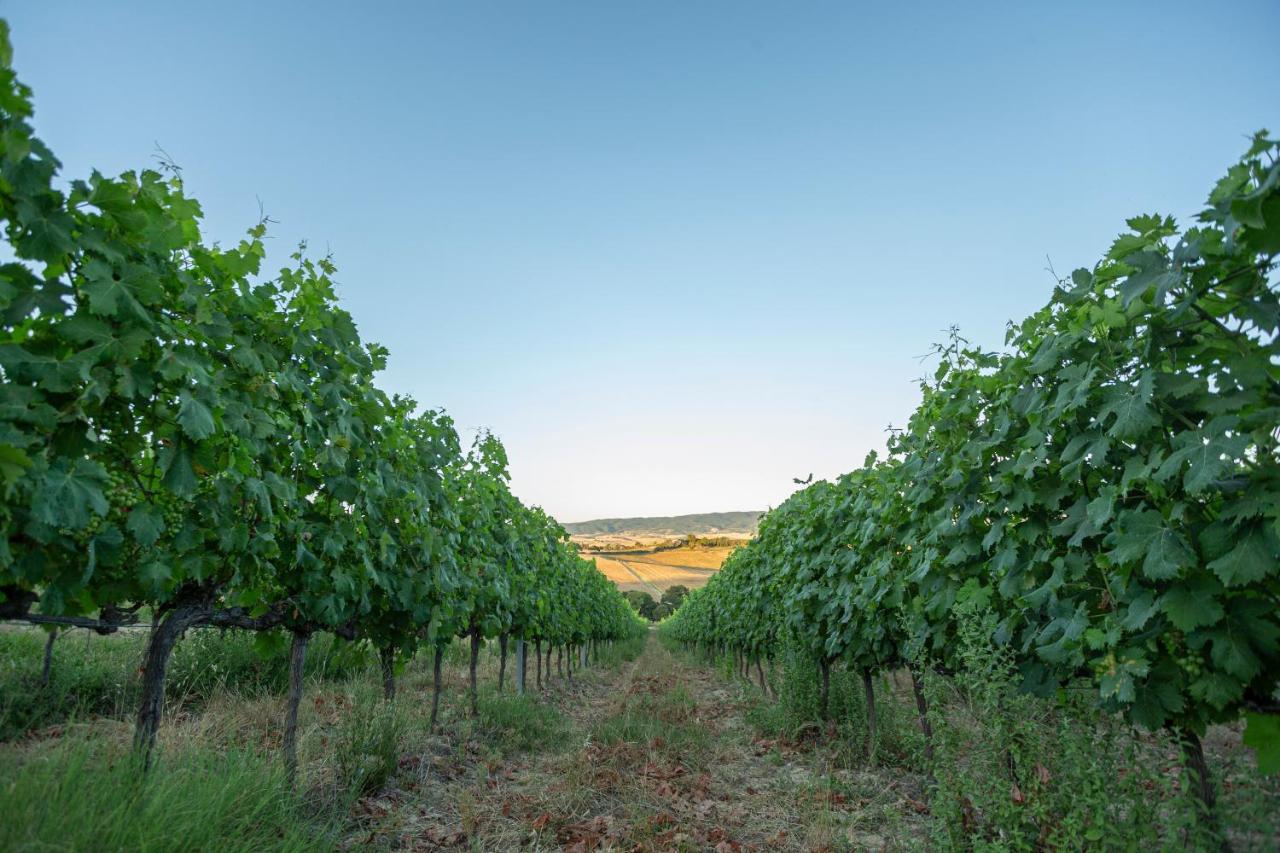 Agriturismo Cappellese Castelnuovo della Misericordia Buitenkant foto
