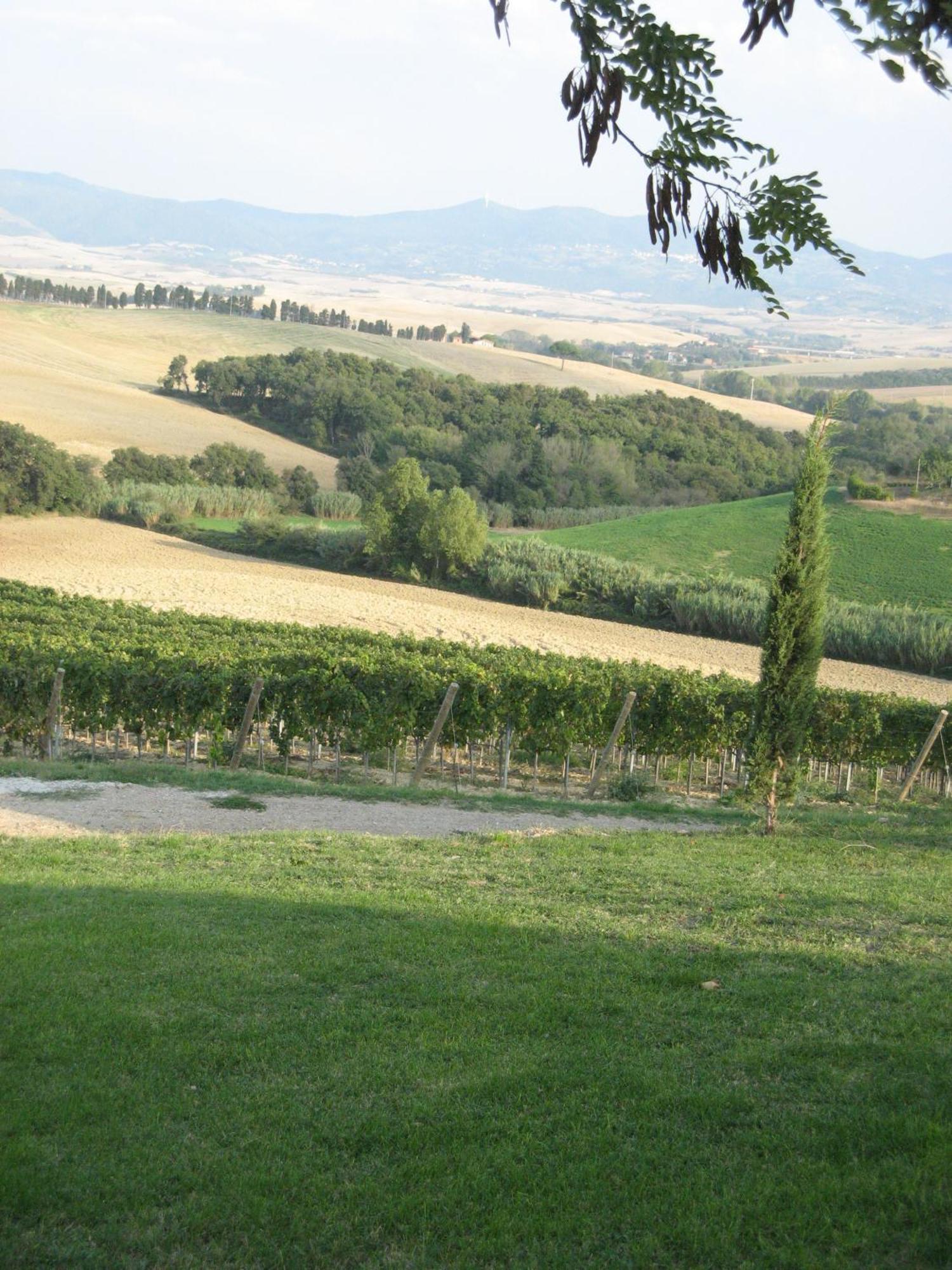 Agriturismo Cappellese Castelnuovo della Misericordia Buitenkant foto