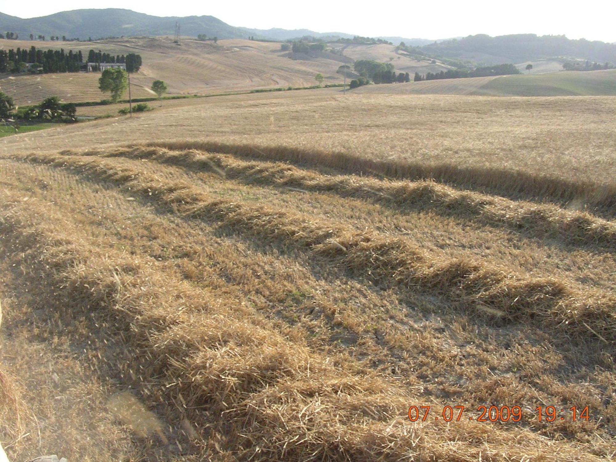 Agriturismo Cappellese Castelnuovo della Misericordia Buitenkant foto